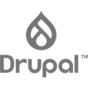 Drupal Developer