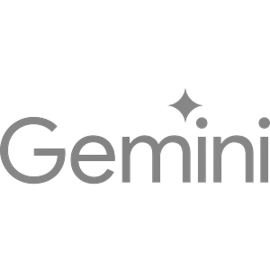 Google Gemini Developer