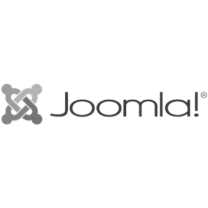 Joomla Developer