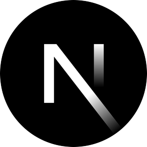 Next.js Developer