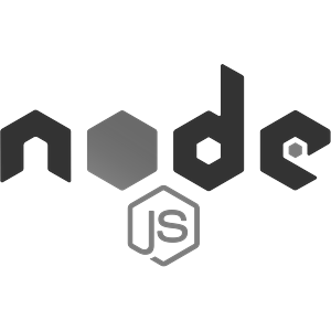Node.js Developer